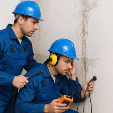 شركة كشف تسربات المياه بالرياض عمالة فلبينية